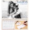 imageTONY ampamp SANDY Dog Memorial Gifts Pet Sympathy Rainbow Bridge Pet Memorial Bracelet for Men Women Girls Who Loss of Beloved Dog CatBlack Onyx