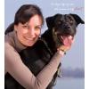 imageTONY ampamp SANDY Dog Memorial Gifts Pet Sympathy Rainbow Bridge Pet Memorial Bracelet for Men Women Girls Who Loss of Beloved Dog CatBlack Onyx