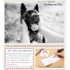 imageTONY ampamp SANDY Dog Memorial Gifts Pet Sympathy Rainbow Bridge Pet Memorial Bracelet for Men Women Girls Who Loss of Beloved Dog CatBlack White