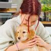 imageTONY ampamp SANDY Dog Memorial Gifts Pet Sympathy Rainbow Bridge Pet Memorial Bracelet for Men Women Girls Who Loss of Beloved Dog CatColorful