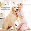 imageTONY ampamp SANDY Dog Memorial Gifts Pet Sympathy Rainbow Bridge Pet Memorial Bracelet for Men Women Girls Who Loss of Beloved Dog CatColorful