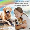 imageTONY ampamp SANDY Dog Memorial Gifts Pet Sympathy Rainbow Bridge Pet Memorial Bracelet for Men Women Girls Who Loss of Beloved Dog CatColorful