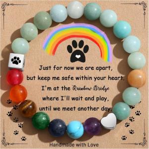 imageTONY ampamp SANDY Dog Memorial Gifts Pet Sympathy Rainbow Bridge Pet Memorial Bracelet for Men Women Girls Who Loss of Beloved Dog CatAmazonite